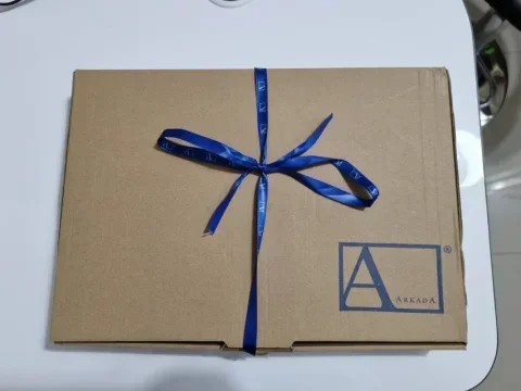 Curs Arkada Brace M - Nivel I | Arad - Nail Secrets